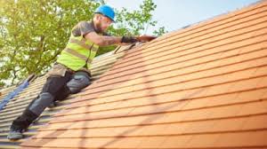 Best Roof Maintenance and Cleaning  in Florence, AZ